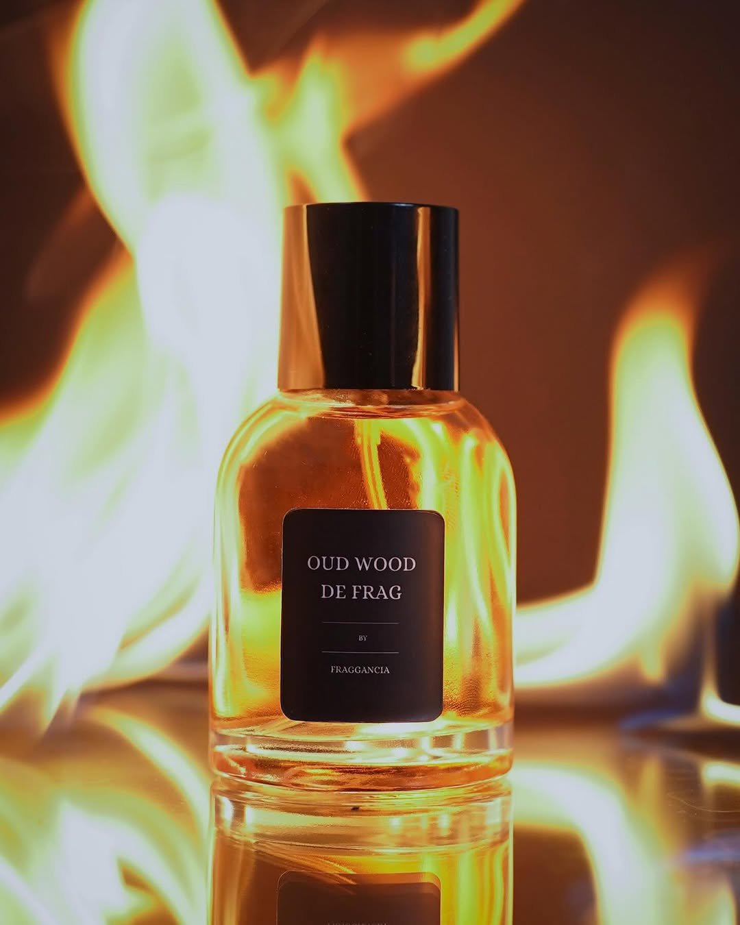 Fraggancia Product Photo 3 by Vebloom